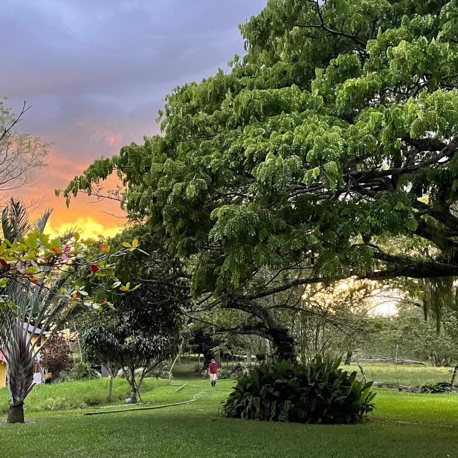 Muchosur Quimbaya Otel Dış mekan fotoğraf